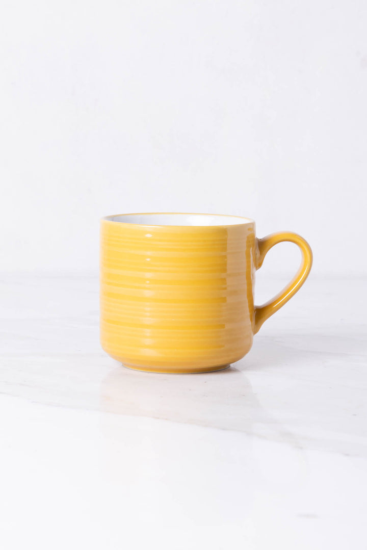 JUEGO DE JARRO MUG DEX 460ML x 4