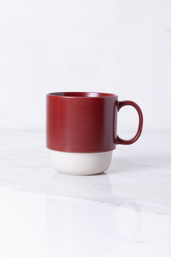 JUEGO DE JARRO MUG RIX 450ML x 4