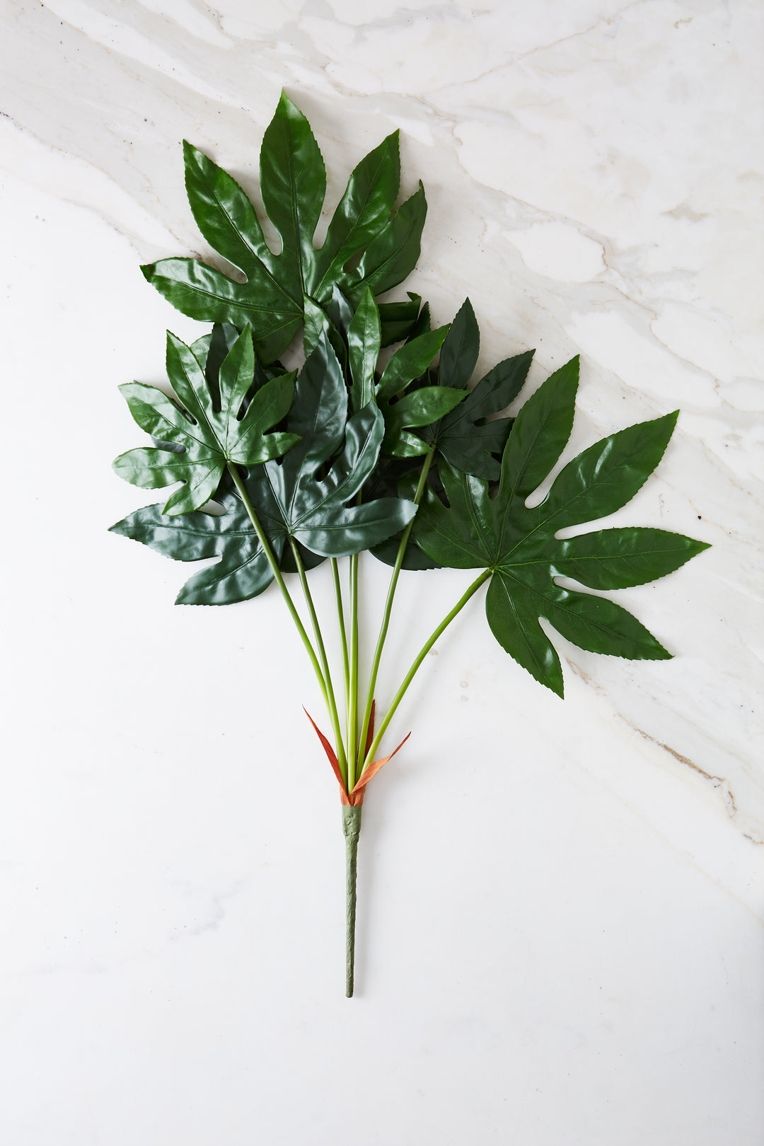 7 RAMAS DE FATSIA JAPONICA 79 CM