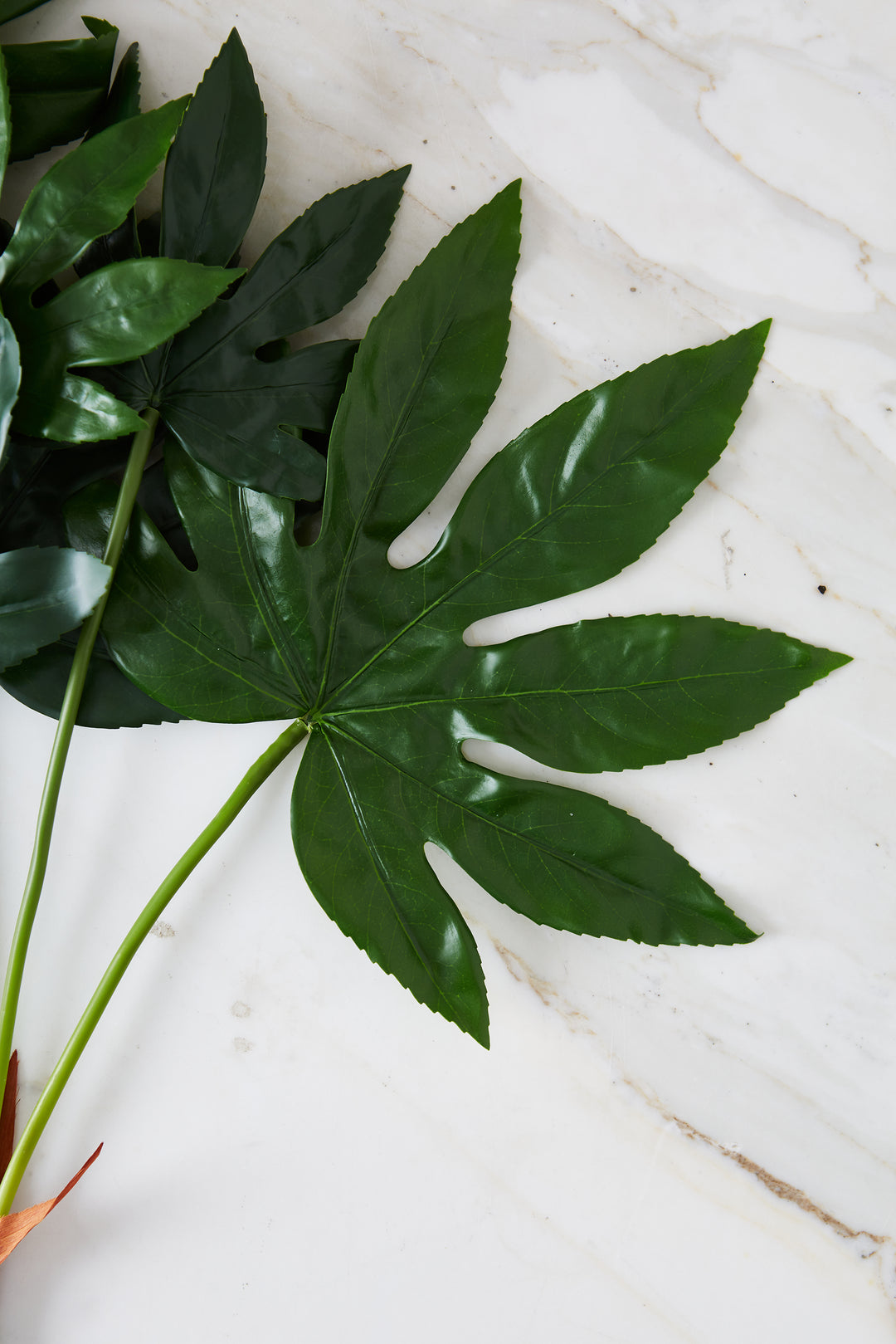 7 RAMAS DE FATSIA JAPONICA 79 CM